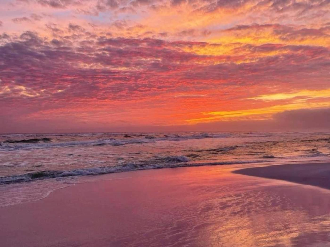 5 Star Resort 11Th Fl Stunning Sunrise 2Br 2Ba King Suite,Pools ,Shuttle Or Walk To Beach Дестін Екстер'єр фото